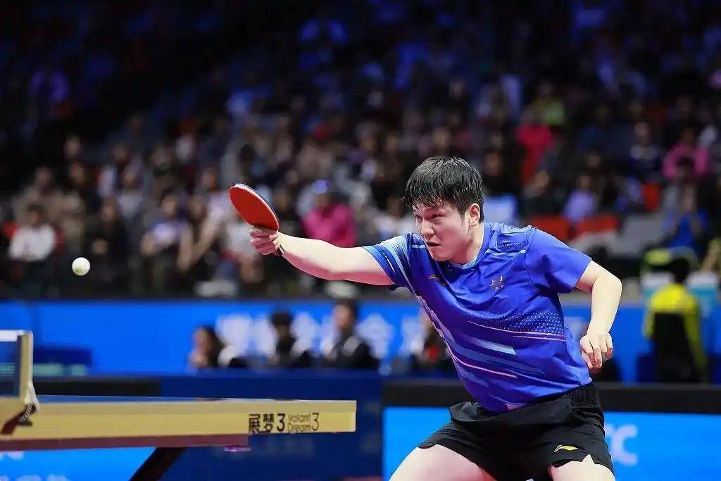 波兰队力克中国队，樊振东扛起全队