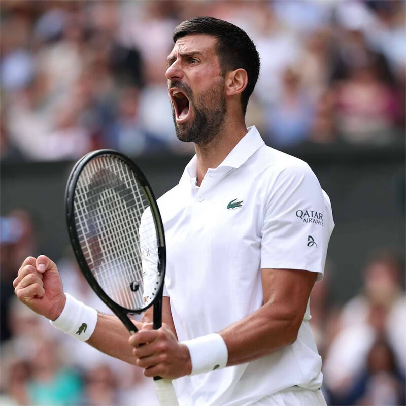 温网绝杀年终总决赛，德约科维奇扛起全队